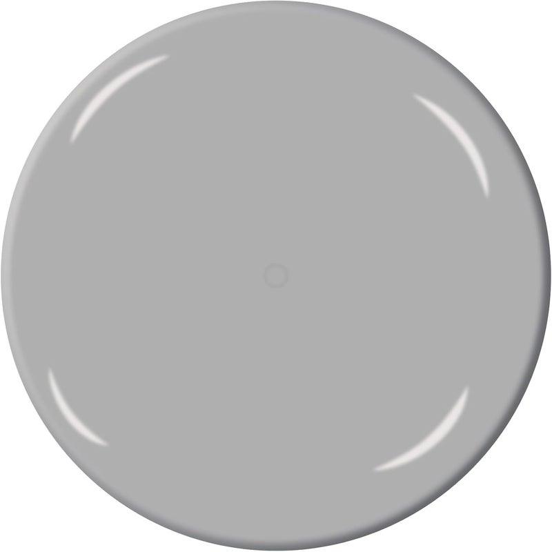 U-POl Expert Color Universal, Automotive Spray Paint, Professional Grade, Long-Lasting, Easy-To-Use, Chrome - Image 1
